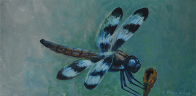 Dragreenfly